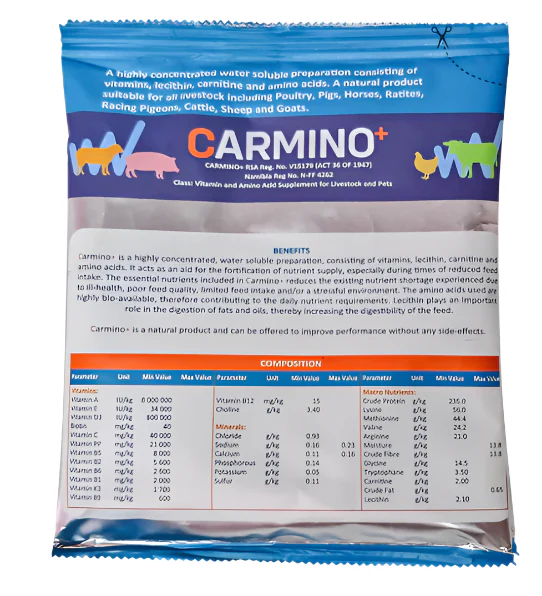 Carmino